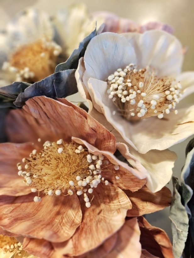 Decoration - celulose flowers