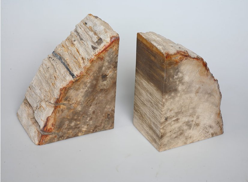 Boopiecetop - petrified wood - set 2 piece