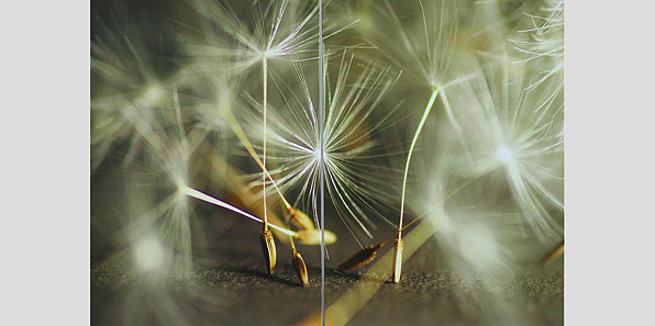 Bilder und Rahmen - H&D HOME DESIGN