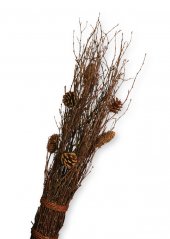 Decorative branches with cones - natural material