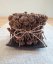 Decoration - incense sticks - cinnamon