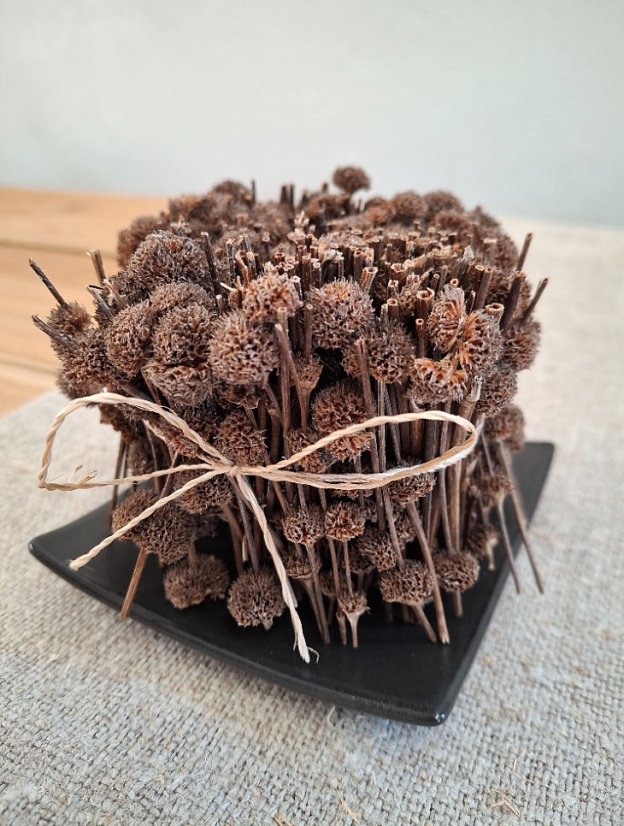 Přírodní aromaterapie - větvičky s vůní skořice