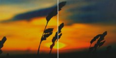 Wall picture 2 piece - laminated canvas