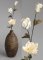 Decoration - celulose flowers