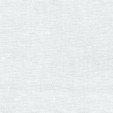 BI1 - white