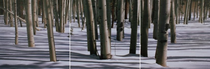 Bild, 3er-set - laminierte leinwand