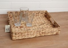 Tray of water hyacinth