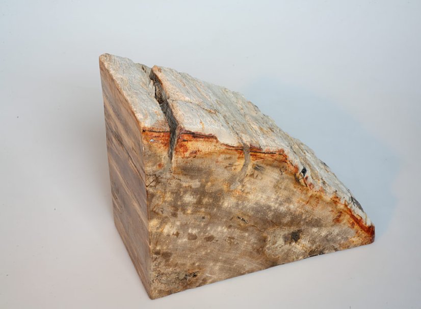Boopiecetop - petrified wood