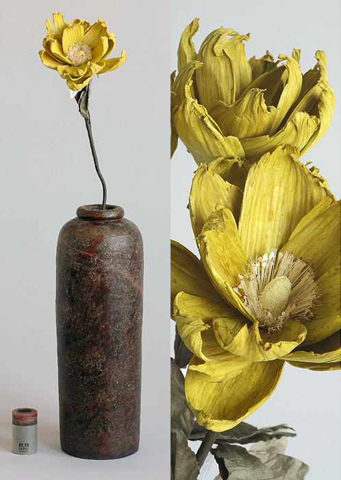 Decoration-celulose flowers