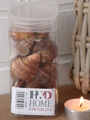 Shells dekorative - naturmaterial