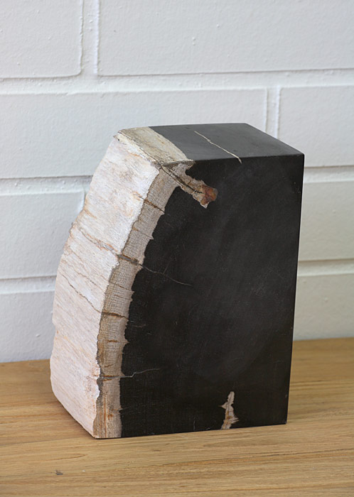 Boopiecetop - petrified wood