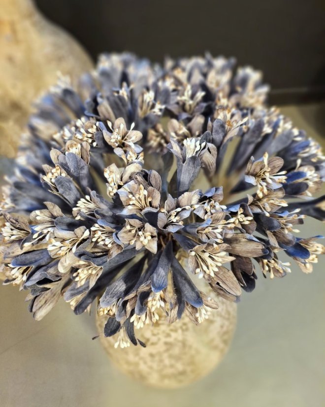 Decoration - celulose flowers