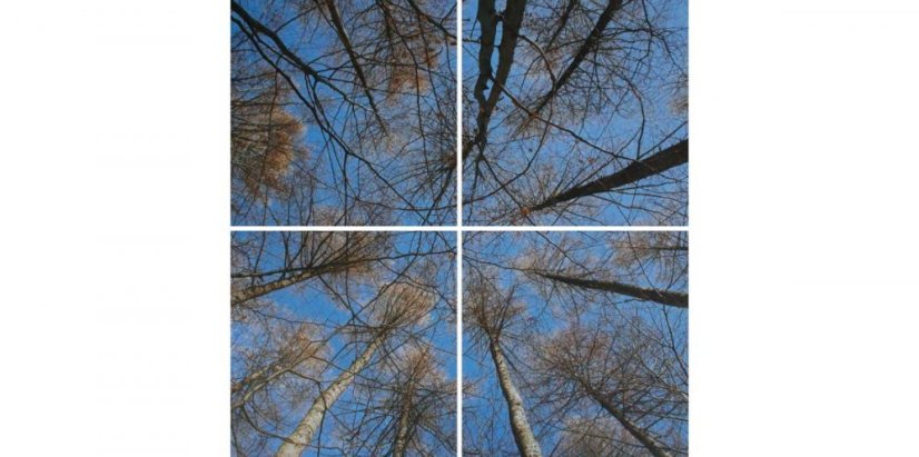 Bild, 4er-set - laminierte leinwand