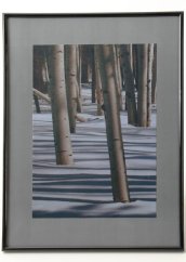 Bild im rahmen