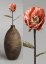 Decoration - celulose flowers