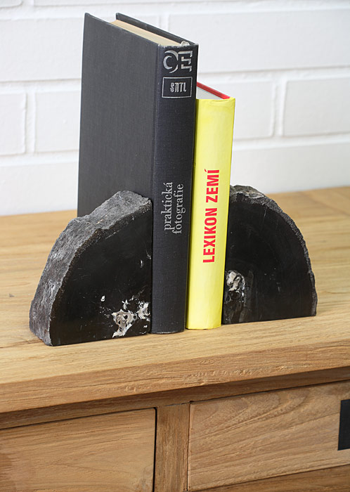 Book stop - petrified wood - set 2 pieces