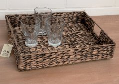 Tray of water hyacinth