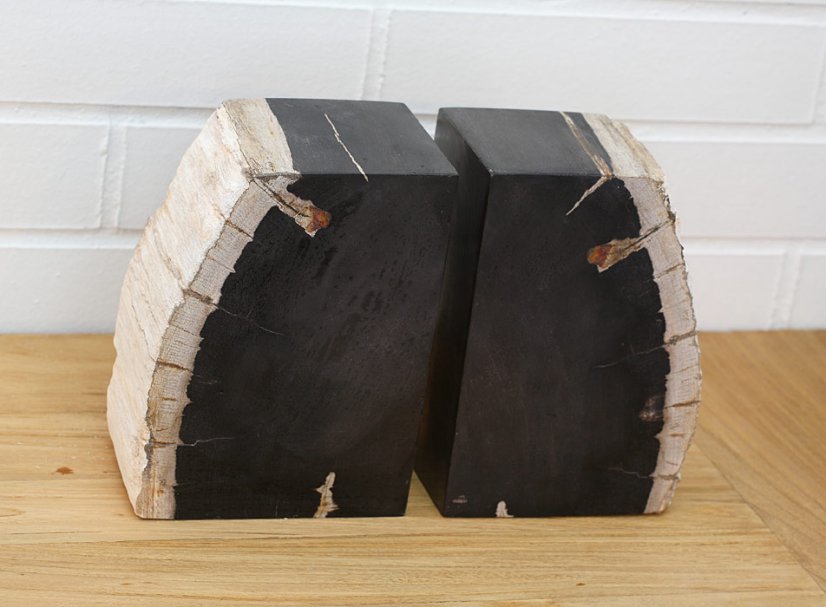 Boopiecetop - petrified wood - set 2 piece