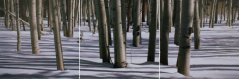 Wall picture 3 piece - laminated canvas