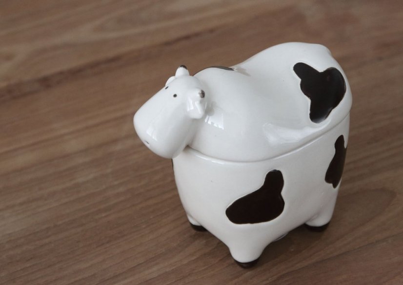 Doza cow