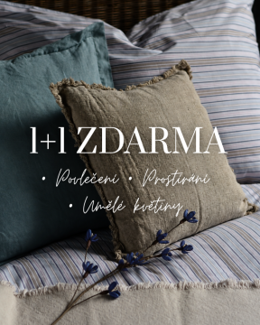 1+1 ZDARMA