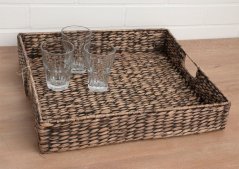 Tray of water hyacinth