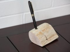 Holder for pens - petrified wood