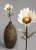Recycled flowers