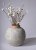 Vases