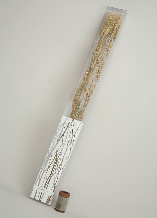 Decoration - incense sticks - green tea