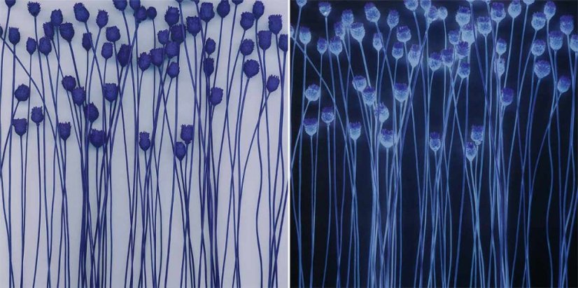 Bild, 2er-set - laminierte leinwand